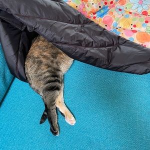 Meet your Posher, Ian